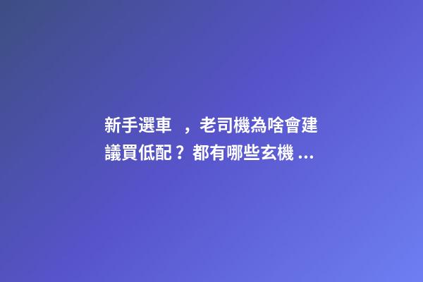 新手選車，老司機為啥會建議買低配？都有哪些玄機？